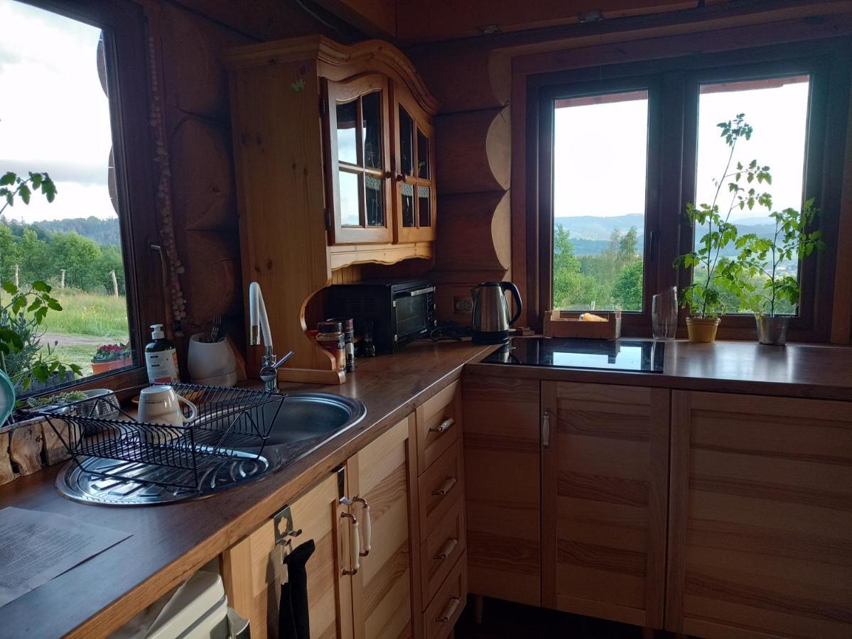 Domek W Gorach Sowich Jugów Exteriér fotografie
